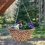 Miami Jungle Glamping