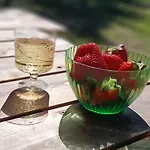 Miami Jungle Glamping Campsite Korjuse
