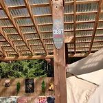 Miami Jungle Glamping Campsite
