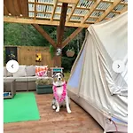 Miami Jungle Glamping Campsite Korjuse