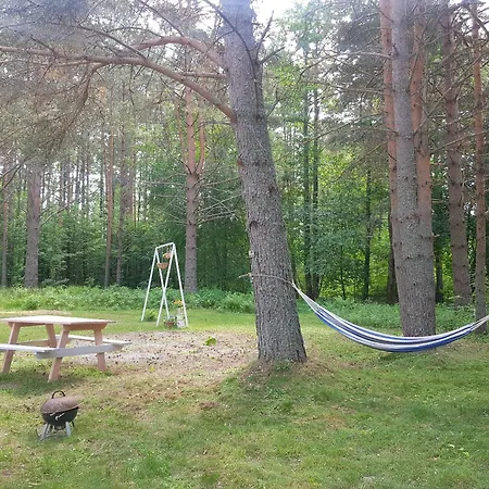 Miami Jungle Glamping Campingplatz