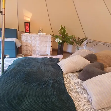 Miami Jungle Glamping Korjuse