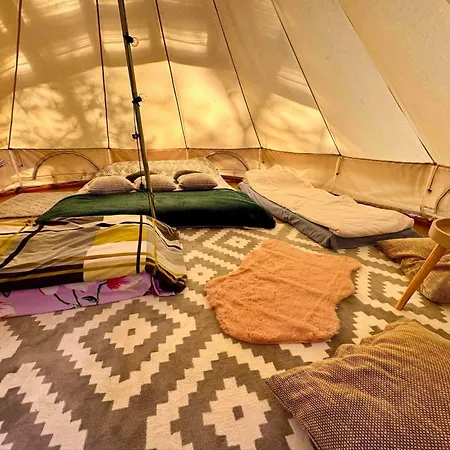 Miami Jungle Glamping Campsite Korjuse