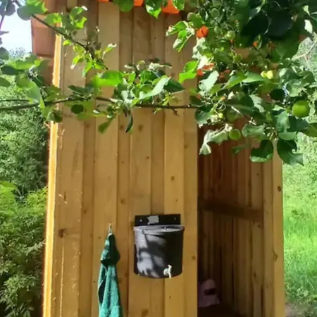 Miami Jungle Glamping Campsite *