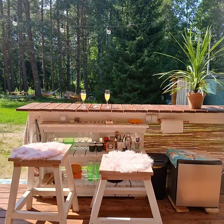Campsite Miami Jungle Glamping Experience Korjuse