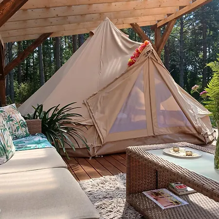 Miami Jungle Glamping * Korjuse