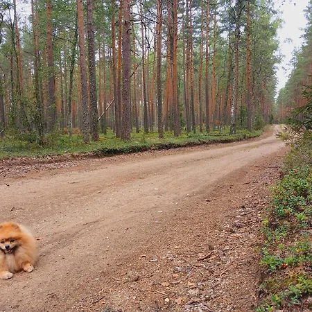 Campingplatz Miami Jungle Glamping *