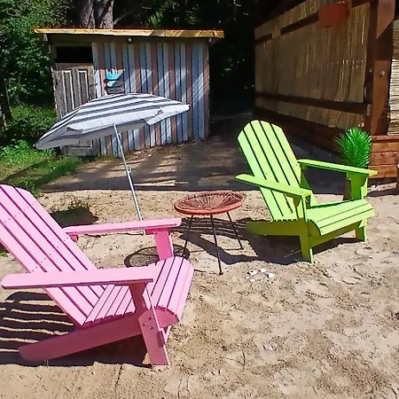 Miami Jungle Glamping Campsite Korjuse