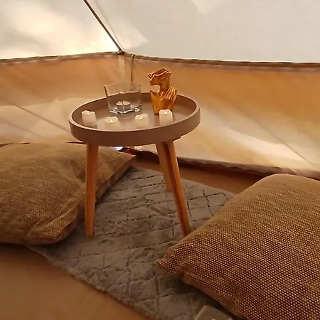 Campsite Miami Jungle Glamping