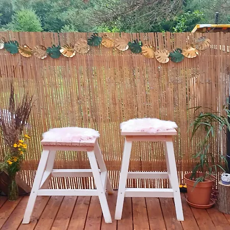 Miami Jungle Glamping Korjuse