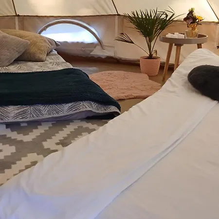 Campsite Miami Jungle Glamping Experience Korjuse