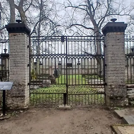 Miami Jungle Glamping Campingplatz