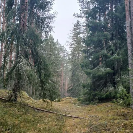 Miami Jungle Glamping *