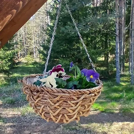 Miami Jungle Glamping Experience