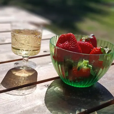 Miami Jungle Glamping Campingplatz Korjuse