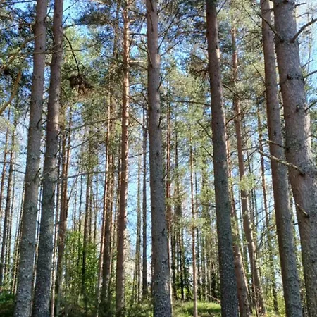 Miami Jungle Glamping