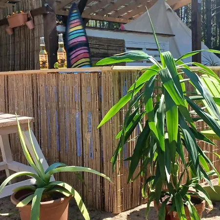 Miami Jungle Glamping