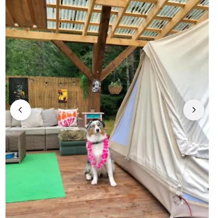 Miami Jungle Glamping Experience Campsite Korjuse