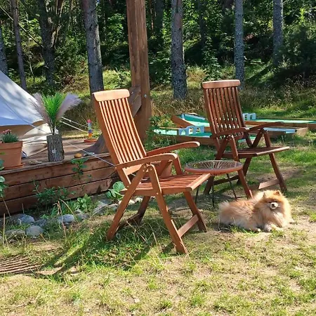 Camping Miami Jungle Glamping Experience *