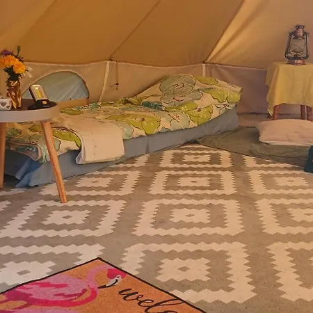 Miami Jungle Glamping Experience