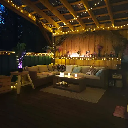 Campsite Miami Jungle Glamping Experience Korjuse