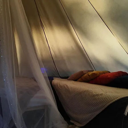 Miami Jungle Glamping Experience Campsite