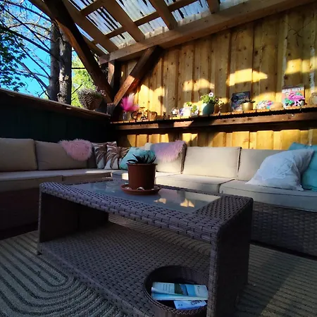 Campsite Miami Jungle Glamping Experience *