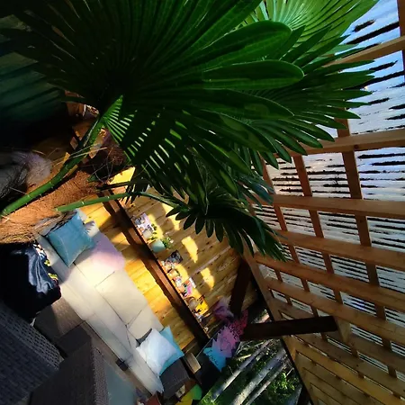 Miami Jungle Glamping Experience Campsite Korjuse