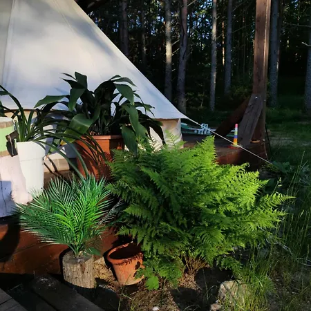 Campsite Miami Jungle Glamping Experience Korjuse