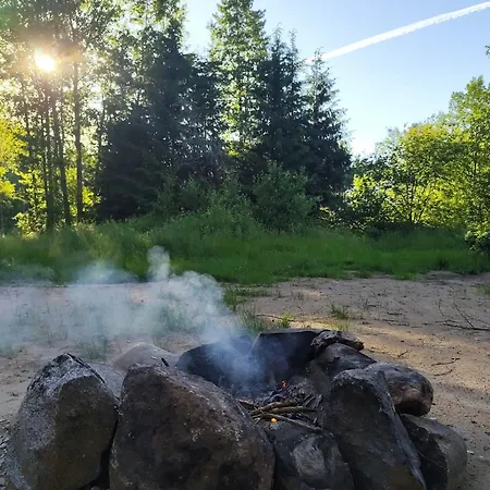 Campsite Miami Jungle Glamping Experience