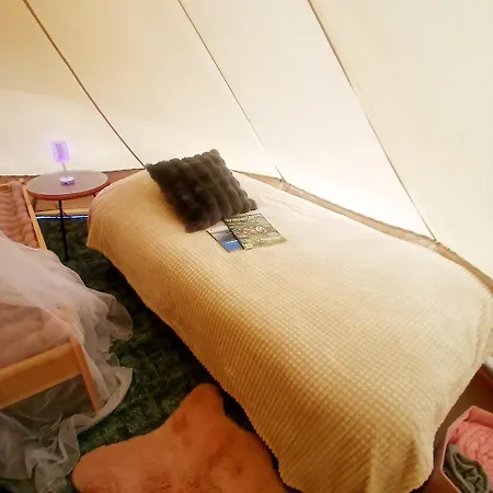 Campsite Miami Jungle Glamping Experience Korjuse