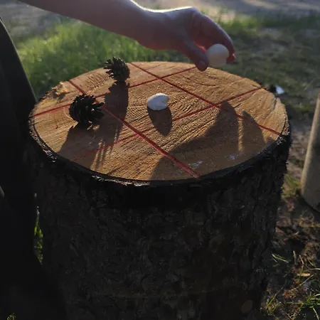 Miami Jungle Glamping Experience Korjuse