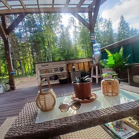 Campsite Miami Jungle Glamping Experience Korjuse