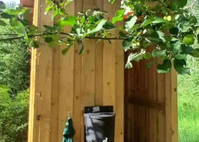 Miami Jungle Glamping Campingplatz *