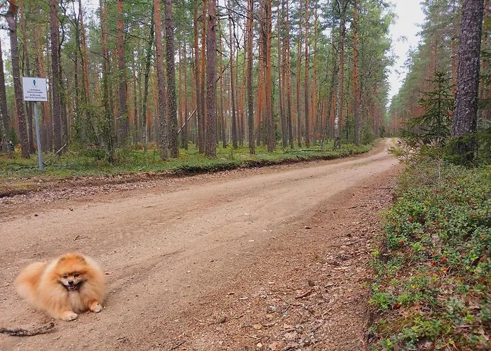 Campingplatz Miami Jungle Glamping *