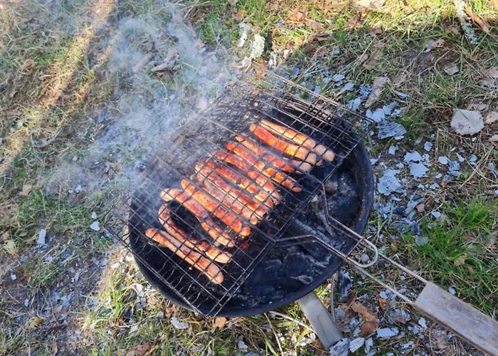 Campingplatz Miami Jungle Glamping