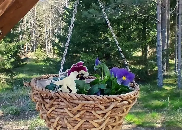 Miami Jungle Glamping