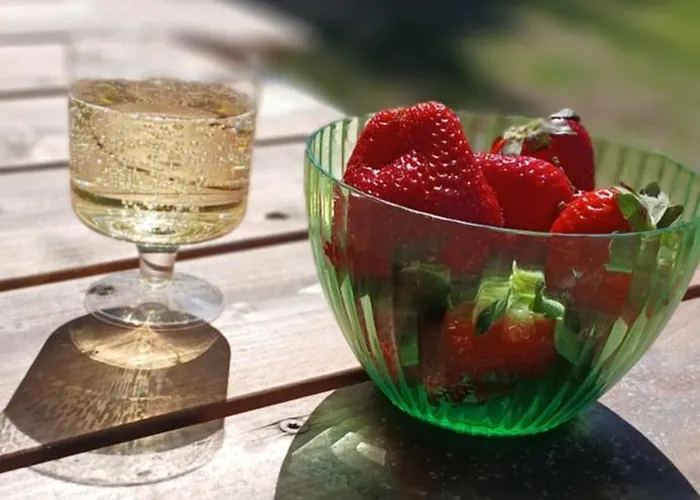 Miami Jungle Glamping Campingplatz Korjuse