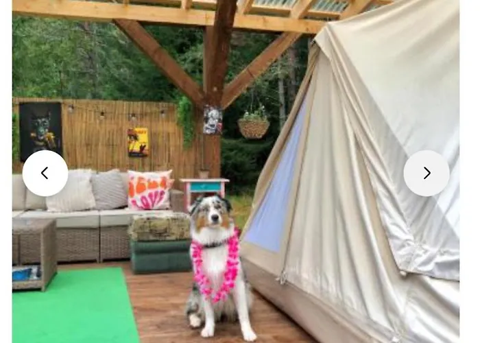 Miami Jungle Glamping Campingplatz Korjuse