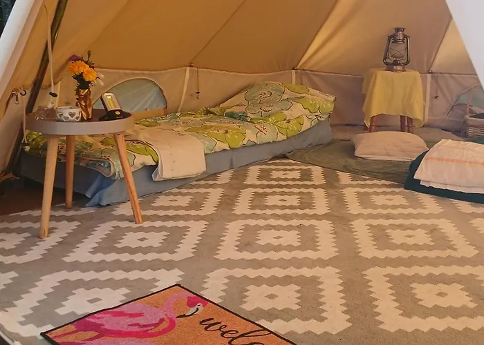 Miami Jungle Glamping