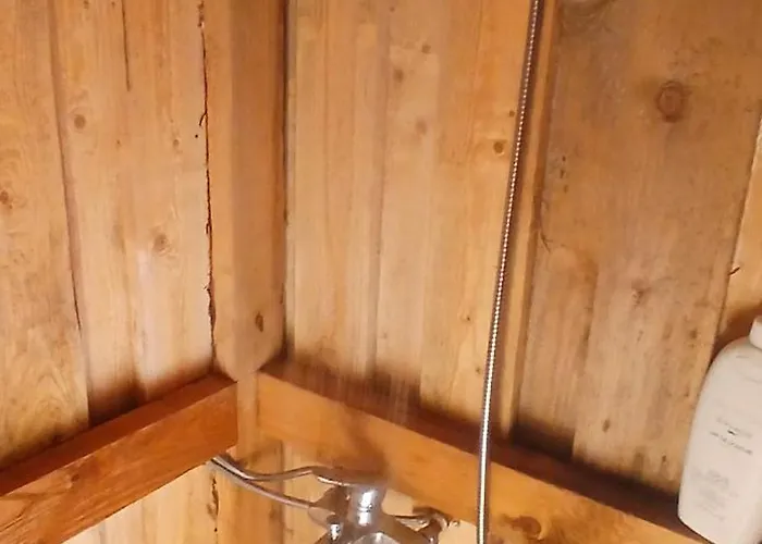 Miami Jungle Glamping Campingplatz Korjuse